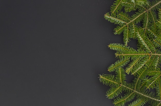 Kerstboom op de zwarte achtergrond wordt geïsoleerd die. plat leggen mock-up