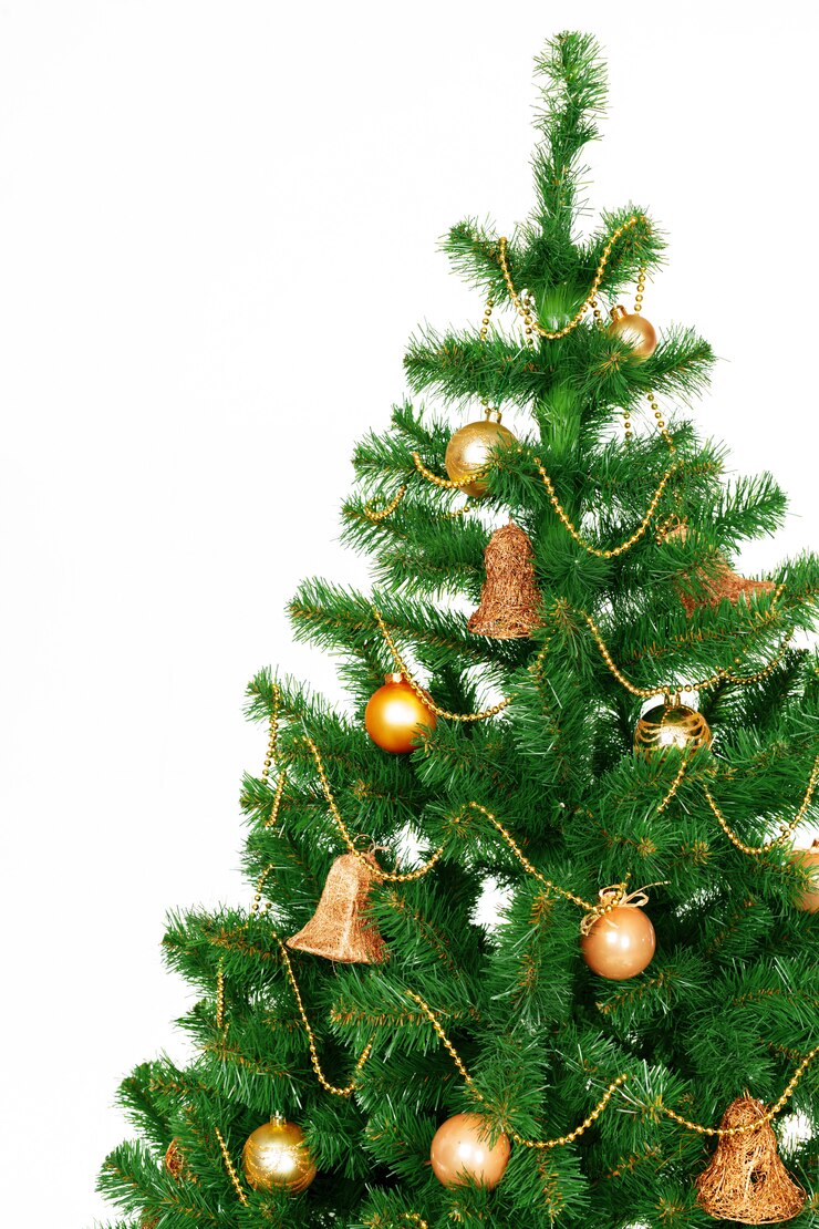 Foto kerstboom op wit wordt geïsoleerd dat