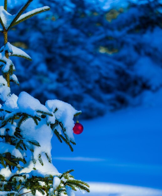 kerstboom rode bal decoratie met echte sneeuw