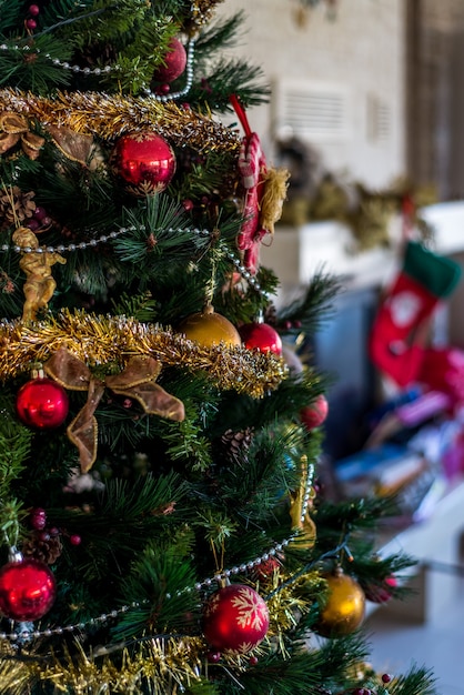 Foto kerstboom