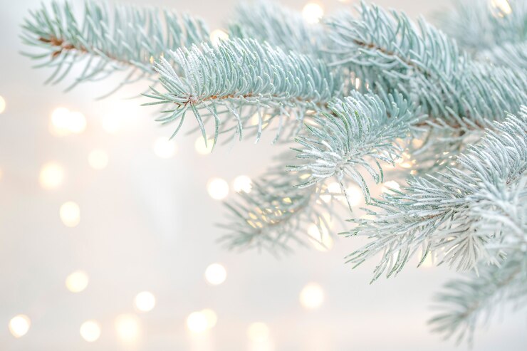 Foto kerstboomtak met onscherpe lichten