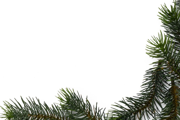 Kerstboomtakken Het concept van het nieuwe jaar kerstnatuur Banner Flat lag bovenaanzicht op witte achtergrond