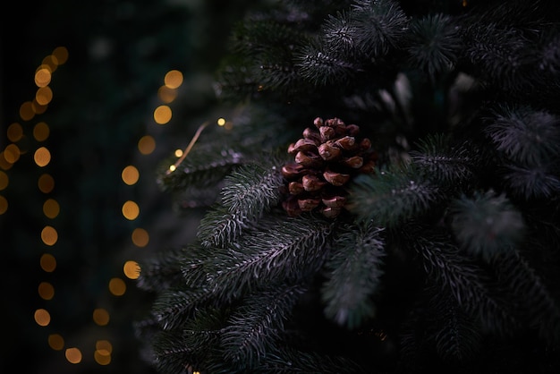 Kerstboomtakken met een dennenappel en onscherpe slingerlichten