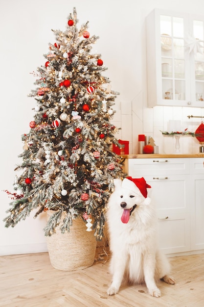 Foto kerstconcept wenskaart met kerstboom en hond in rode hoed vakantieconcept interieur