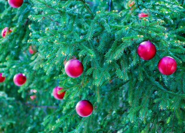 Kerstdecoratiedetails op de kerstboom