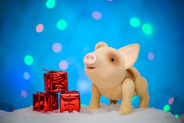 Kerstfoto met een schattig vrolijk varken en geschenken in een rood feestelijk pakket in de sneeuw, op een blauwe achtergrond met verlichting en verlichting