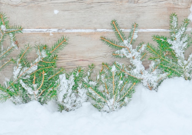 Kerstmis besneeuwde houten. Christmassnowy dennenboomrand