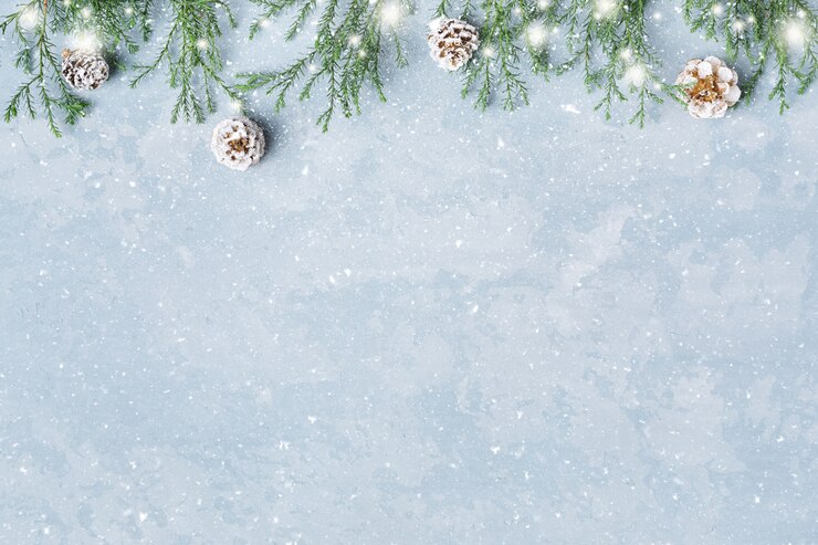 Foto kerstmis en nieuwjaar besneeuwde achtergrond met takjes en kegels grens