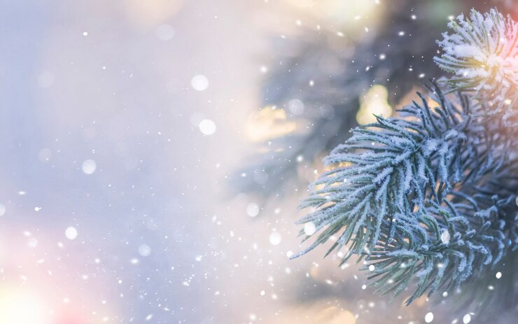 Foto kerstmis en nieuwjaar vakantie achtergrond. kerstboom met lichte en onscherpe achtergrond
