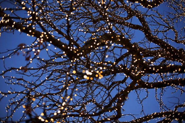 Kerstmis. Kerstverlichting op een boom in een donkerblauwe hemel