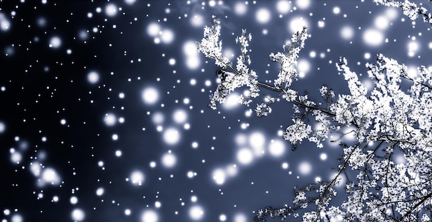 Kerstmis Nieuwjaar zwarte bloemen achtergrond vakantie kaart ontwerp bloem boom en sneeuw glitter als winterseizoen verkoop promotie achtergrond voor luxe schoonheidsmerk