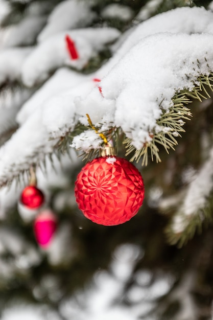 Kerstmis openluchtachtergrond met sparrentakken, decoratie en vage lichten