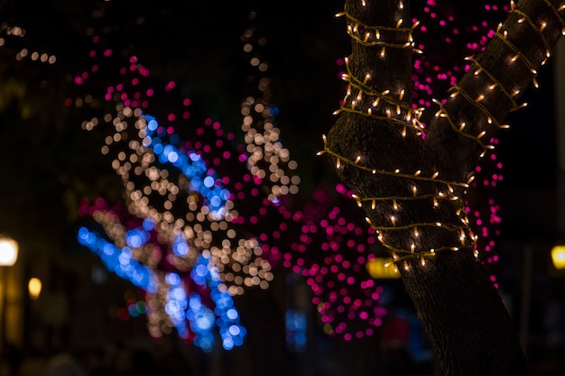 Kerstmis verpakte bomen met lichten