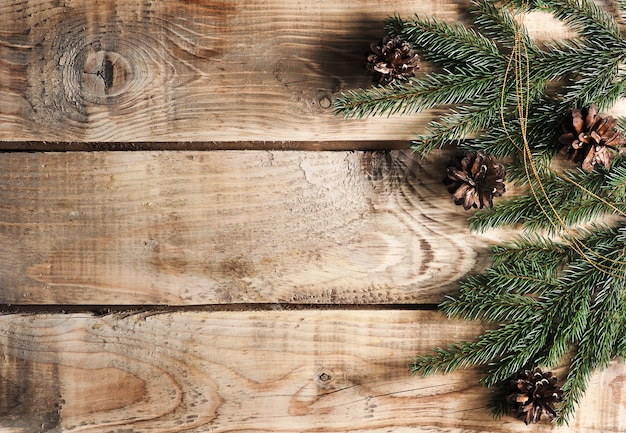 Kerstmisachtergrond met nette takken en kegels