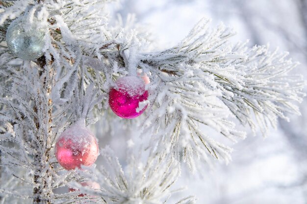 Kerststemming vakantiesfeer New Year's felroze ballen op takken bedekt met rijm