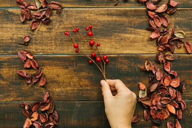 Kersttak met rood fruit