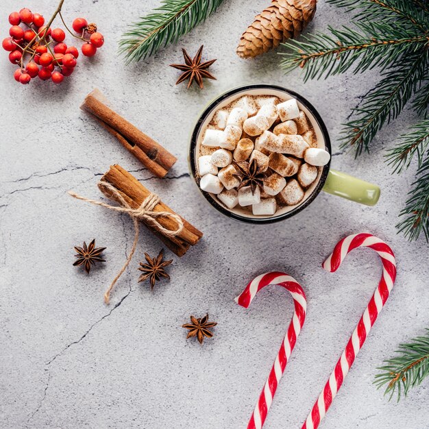 Kerstvakantie creatieve lay-out met marshmallow warme chocolademelk, dennenboom, rode bessen en dennenappels, gezellige kerstplatte