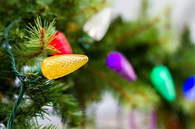 Kerstverlichting op groenblijvende granches.