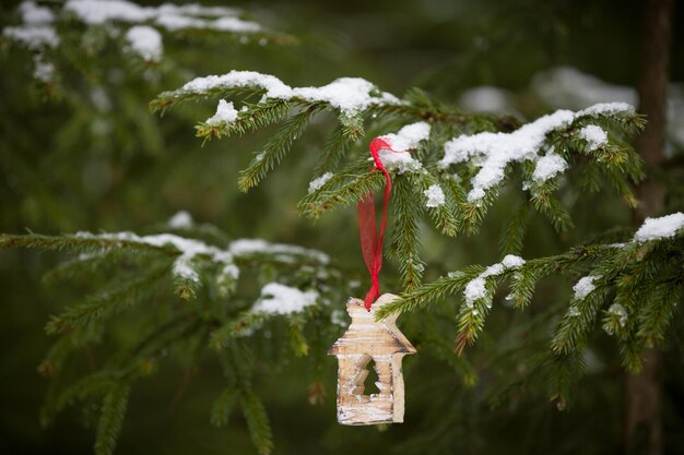 Kerstversiering op een rood lint op een groenblijvende boom buitenshuis