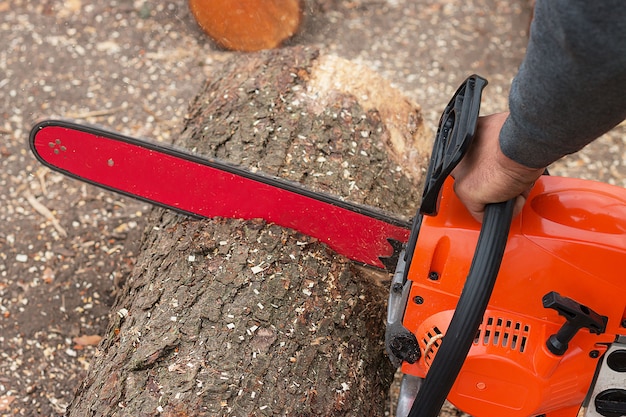 Kettingzaag in actie die hout snijdt.