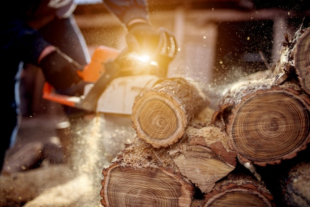 Kettingzaag in actie om hout te zagen. Man hout snijden met zaag, stof en bewegingen.