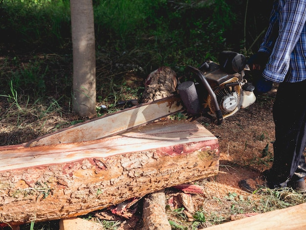 Kettingzaag in beweging die hout snijdt. houthakker die een oude kettingzaag vasthoudt en het logboek zaagt, grote boom in het bos, rondvliegend zaagsel.