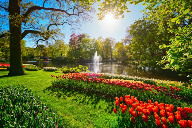 Keukenhof bloementuin. Lisse, Nederland.