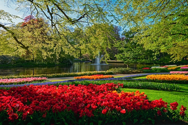 Keukenhof bloementuin. Lisse, Nederland.