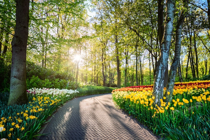 Foto keukenhof bloementuin. lisse, nederland.