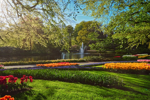 Keukenhof bloementuin. lisse, nederland.