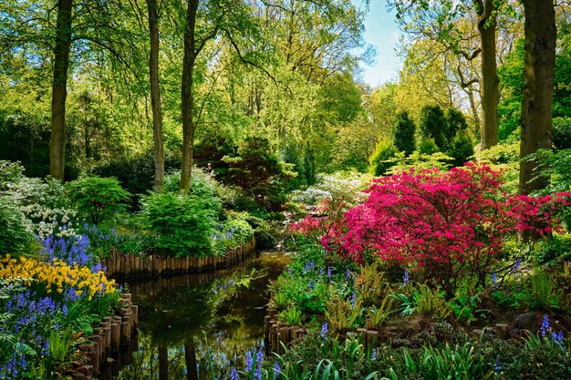 Photo keukenhof flower garden lisse the netherlands