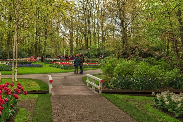 Keukenhof Gardens met mooie lentebloemen Keukenhofin Nederland