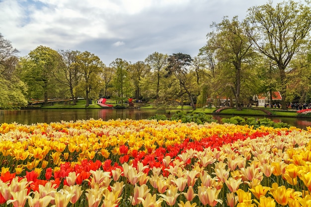 Keukenhof Gardens met mooie lentebloemen Keukenhofin Nederland