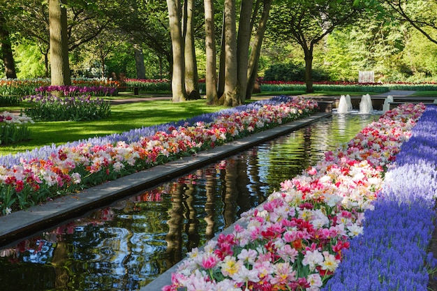 Keukenhof - Grootste bloementuin van Europa - Holland