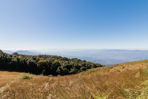 タイ・チェンマイのDoi Inthanon国立公園のKew Mae Pan自然トレイル