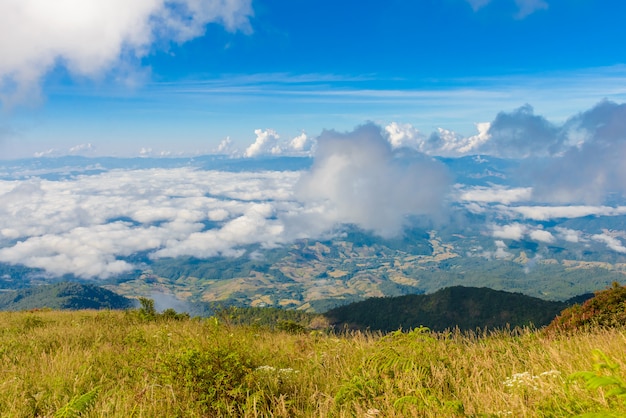 Kew mae pan nature trail sentiero per trekking che conduce attraverso la giungla