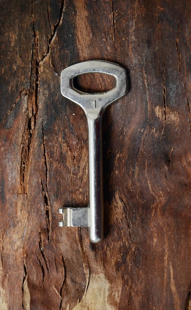 Photo key on a wood