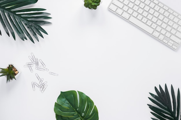 Foto tastiera; pianta di cactus; foglie e graffette sulla scrivania bianca con copia spazio per la scrittura di testo