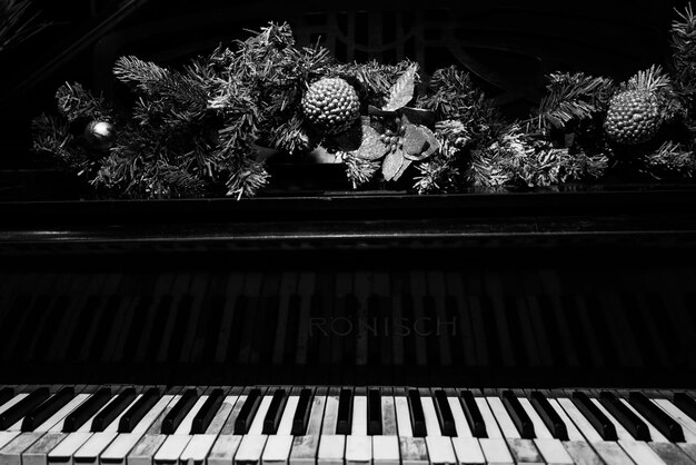 The keyboard of a classic old grand piano in closeup