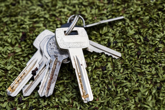 Keys lie on artificial grass. don't get home. High quality photo