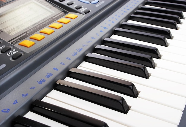 Keys of a musical instrument. Synthesizer.