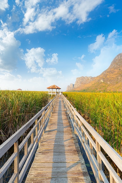 Khao Sam Roi Yot National ParkKlein paviljoen op houten brug in moeras