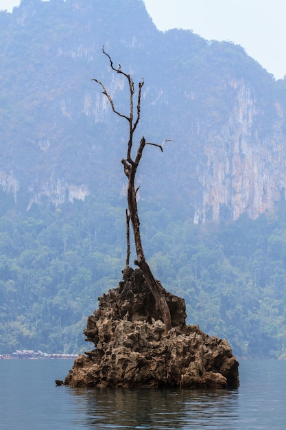 Foto parco khao sok, montagna e lago