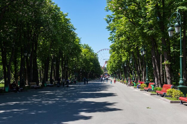 Kharkov ucraina 11 maggio 2018 persone sconosciute riposano nel parco gorky a kharkov ucraina