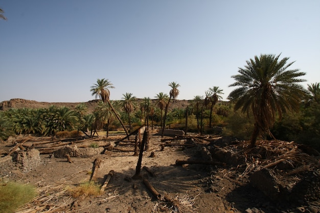 Foto khaybar ten noorden van medina in de hejaz