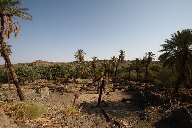 Khaybar ten noorden van Medina in de Hejaz