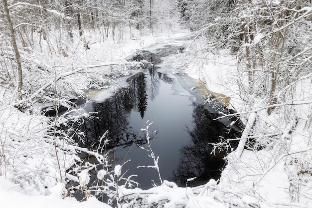 Река Хихнийоки, Республика Карелия, Россия