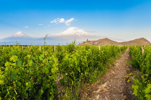 Khor VirapとMount Ararat