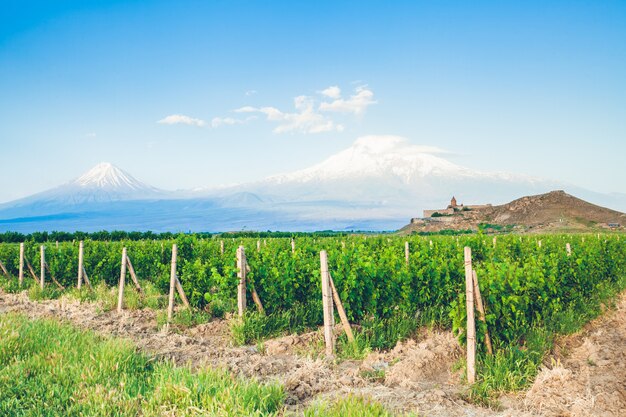 Khor Virap and Mount Ararat