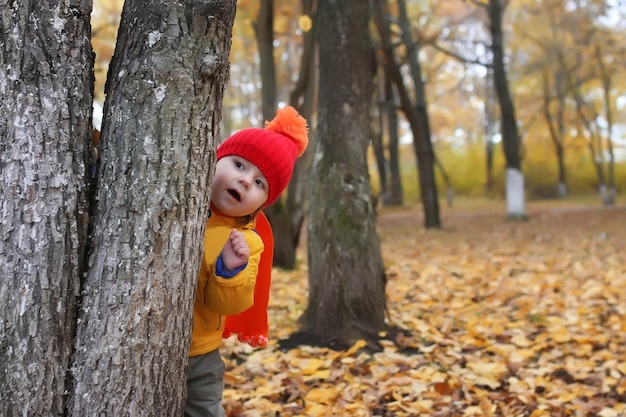 Kid in autumn park hidden behind tree and smile